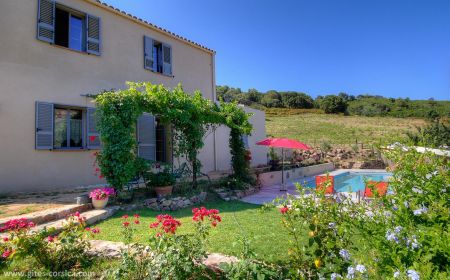 Bed & Breakfast no.62531 Gal&eacute;ria - Corse - photo