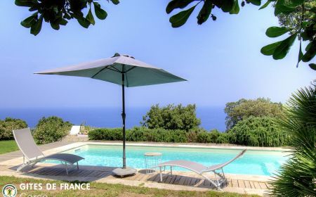 Bed & Breakfast no.57251 Brando - Corse - Maison d'h&ocirc;tes &agrave; Brando, Grand Bastia, Haute-Corse, labellis&eacute;e G&icirc;tes de France Corse : la piscine