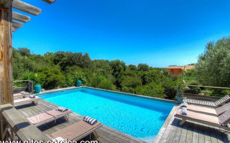Bed & Breakfast no.21691 Sainte lucie de porto vecchio - Corse - Chambre d'h&ocirc;tes &agrave; Sainte-Lucie de Porto-Vecchio, le Sud Corse : la piscine