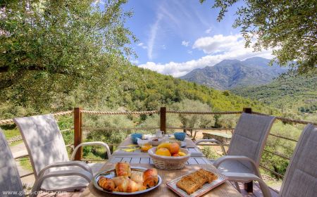 Maison d'hôtes à Manso, Balagne, Haute-Corse, labellisée Gîtes de France : le petit déjeuner Bed & Breakfast no.61541 Manso - Corse - Maison d'hôtes à Manso, Balagne, Haute-Corse, labellisée Gîtes de France : le petit déjeuner