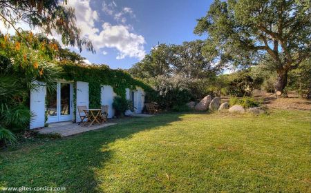 Bed & Breakfast no.14721 Pianottoli-Caldarello - Corse - photo