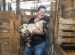 Matin&eacute;e &agrave; la ferme Capra et atelier de fabrication de fromage